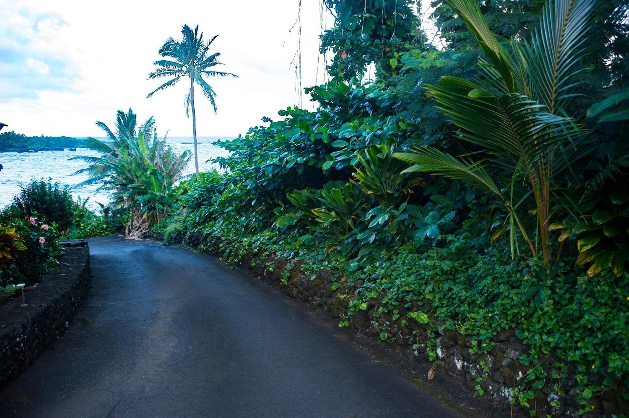 Apartamento Kai Maui - #201 Honokalani - Oceanview 1 Br