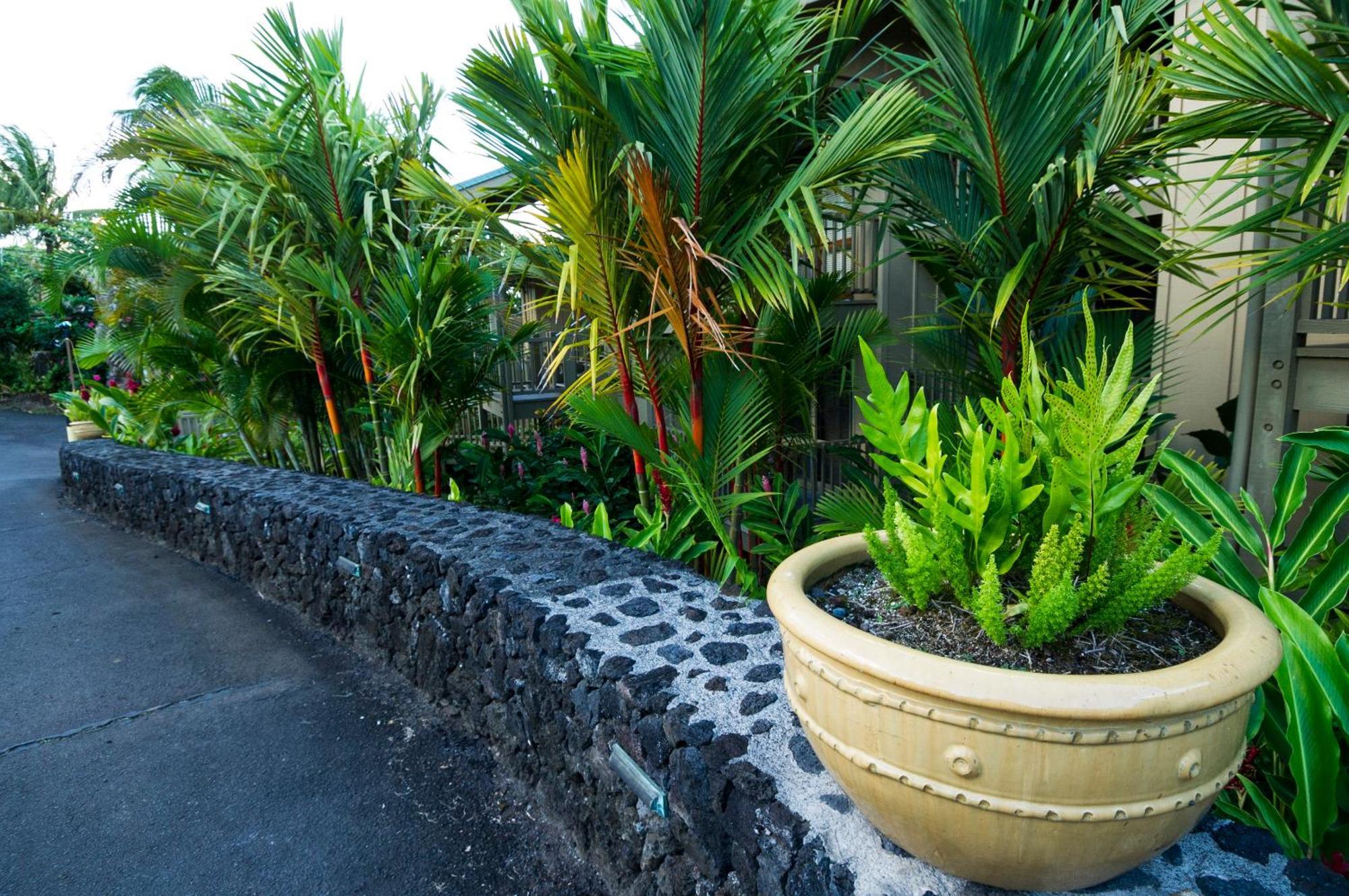 Apartamento Kai Maui - #201 Honokalani - Oceanview 1 Br